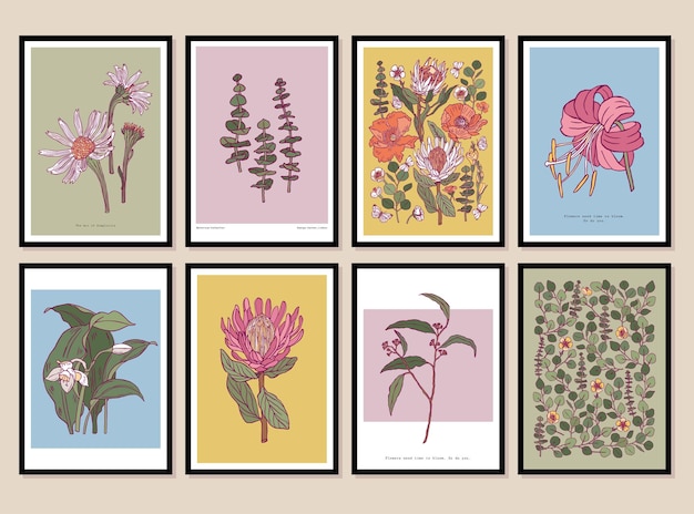 Vectorset van bloemen- en botanische illustraties en bladillustraties in een posterframe