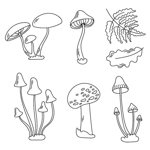 Vectorset van oneetbare paddenstoelen en bladeren