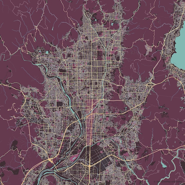 Vectorstadsplan van Kyoto Japan