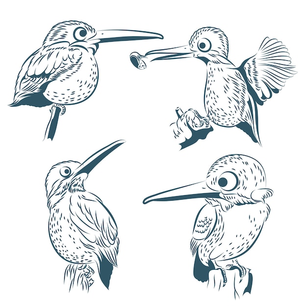 Vectortekening van ijsvogel