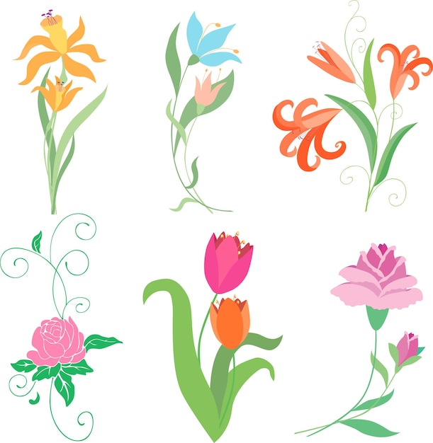 Vectortekeningen van verschillende bloemen set