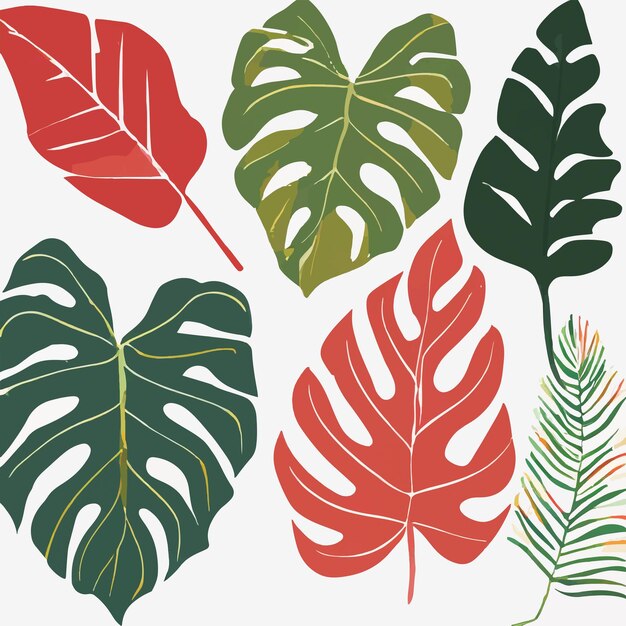 Vector vectorverzameling van monstera-bladeren