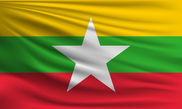 Vectorvlag van Myanmar met een palm