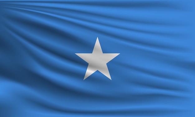 Vectorvlag van Somalië met een palm