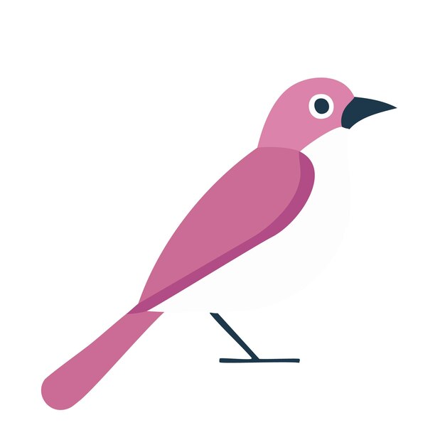 Vectorvogel