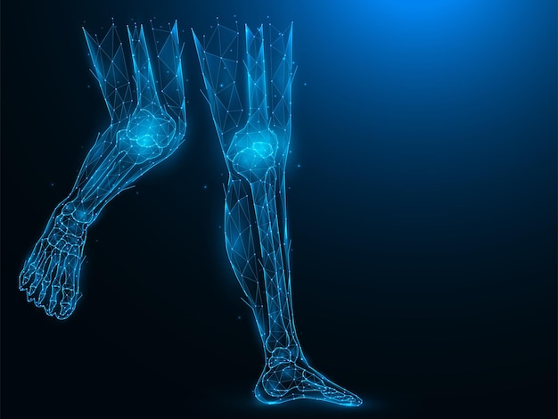 Veelhoekige vectorillustratie van menselijke benen Anatomische structuur van de enkel- en kniegewrichten