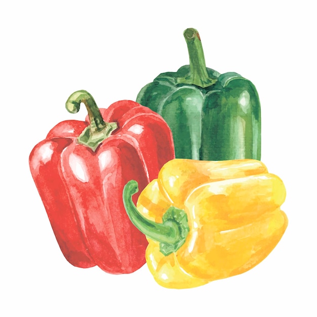 Veelkleurige aquarelpaprika's zoete paprika's hoge kwaliteit illustratie