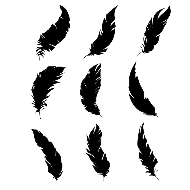 Veer van vogels zwarte veer silhouet voor logo vector set