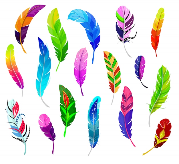 Vector veer vector pluizige bevedering quil en kleurrijke gevederde vogels pluim set van kleur veer-pen decor