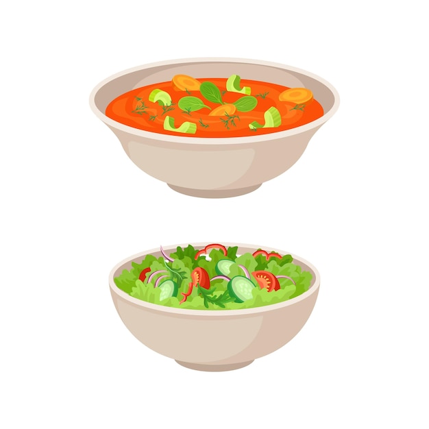 vegan dish and main course with vegetable salad and thick soup vector set
