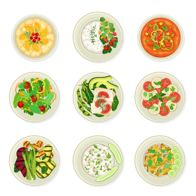 Vector vegan dishes and main courses with oatmeal porridge and vegetable salad vector set