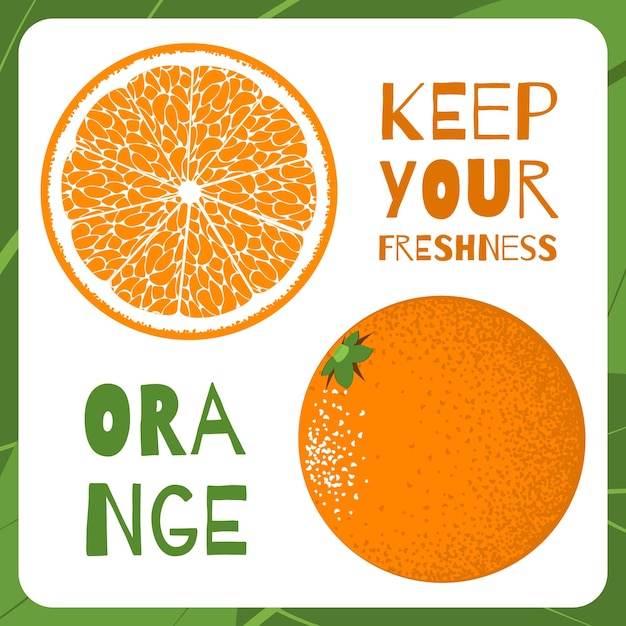 Veganistisch voedsel concept oranje fruit illustratie