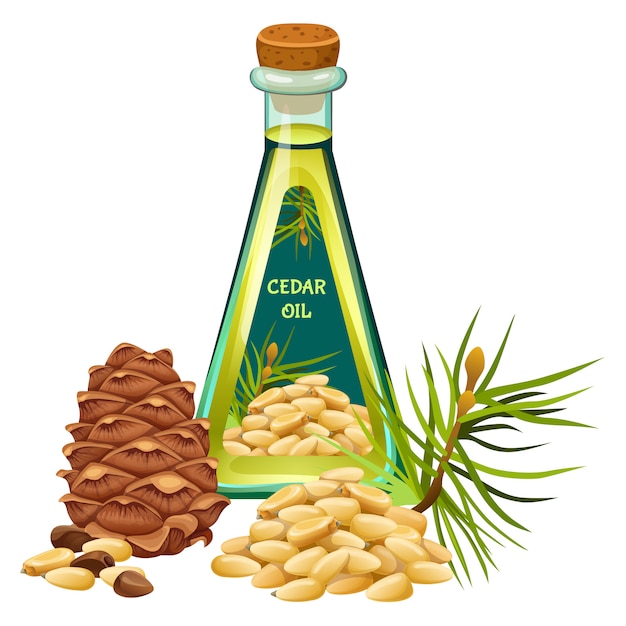 Vector vegetable cedar oils with label.