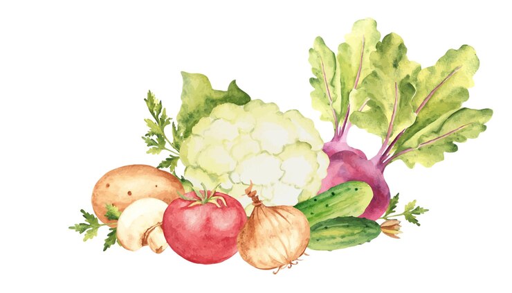 Vector vegetable composition set of cauliflower cucumbers and beet tomato and champignon potato and parsley