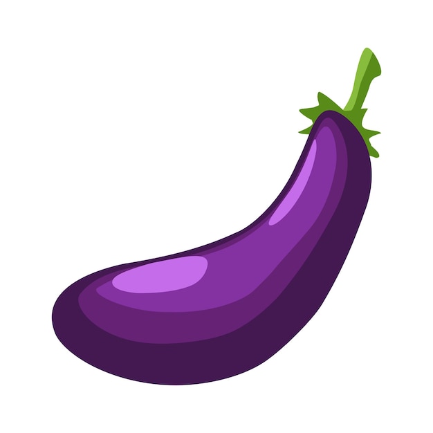 Vector vegetable eggplant