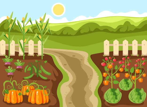 Vector vegetable farm illustration vector garden agriculture plantation plant farmland background concept