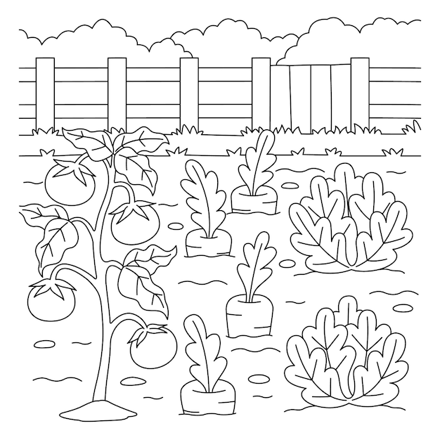 Vector vegetable field coloring page for kids