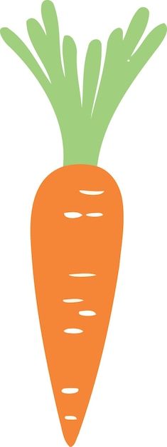 Cibo vegetale una carota