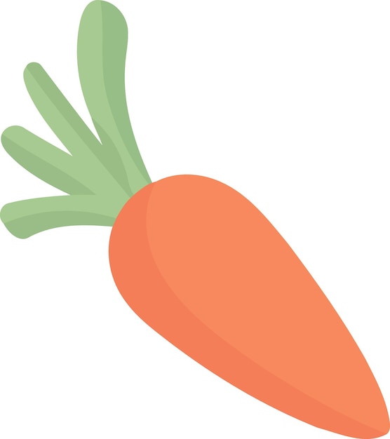 Vector vegetable food a carrot