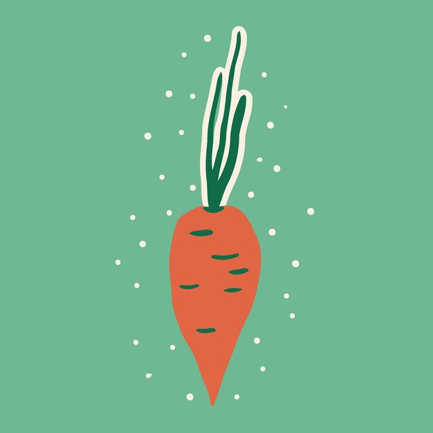 Vector vegetable food a carrot