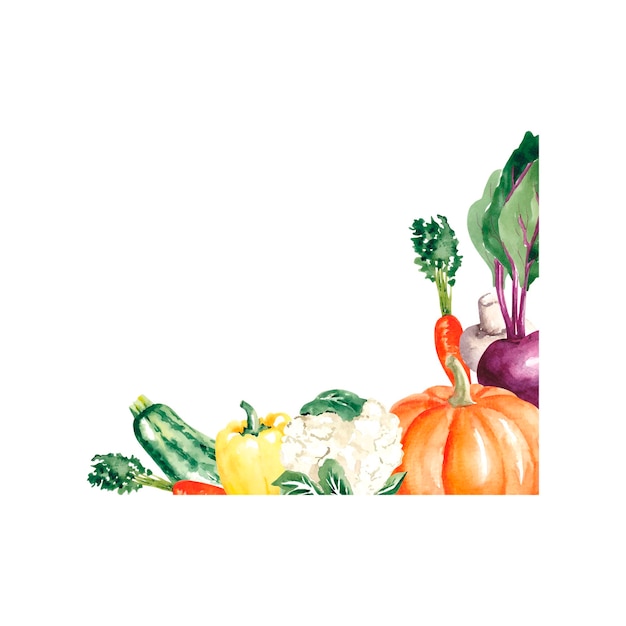 Vector vegetable frame