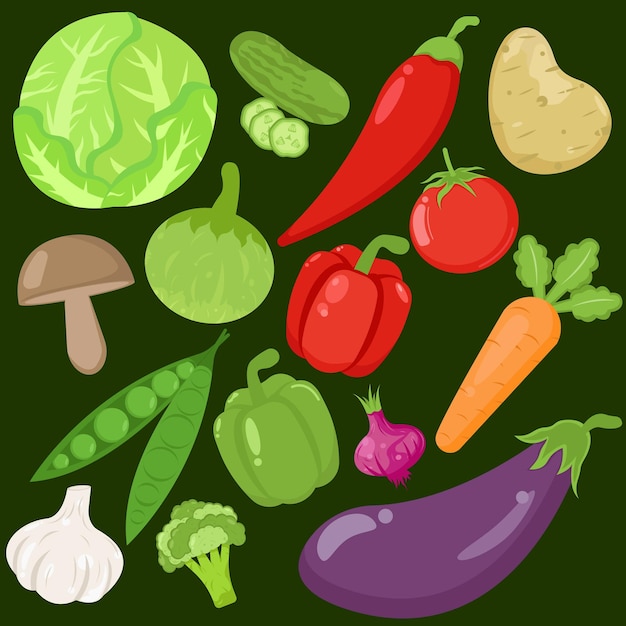 Vegetable Illustration Set