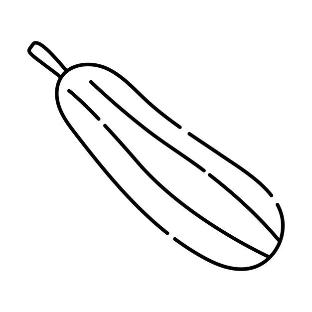 Vector vegetable marrow black and white vector line icon