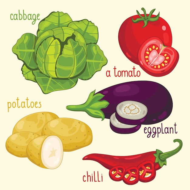 Vector vegetable mix vector