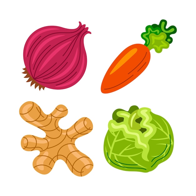 Vector vegetable objects vector illustrations set