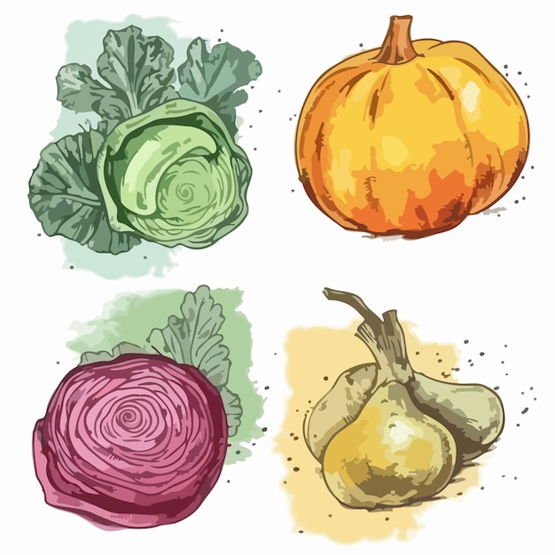 Vegetable sets Vegetable watercolor painting package