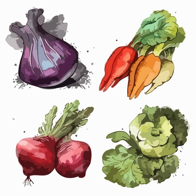 vegetable sets vegetable watercolor painting package