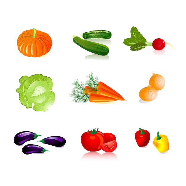 野菜のベクトルイラストデザインのテンプレート