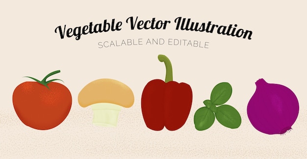 Vegetable Vector Illustration Set Retro Style