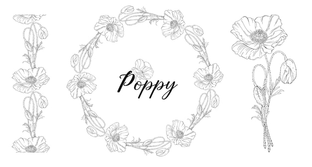 Vegetable vector set of flower of poppy