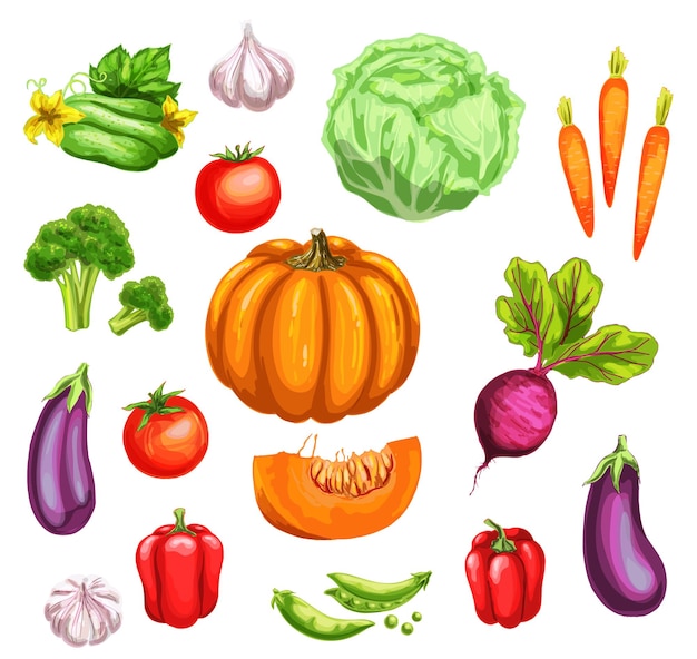 Vector vegetable watercolor set of fresh organic veggies