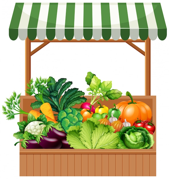 Vegetable on wooden shelf