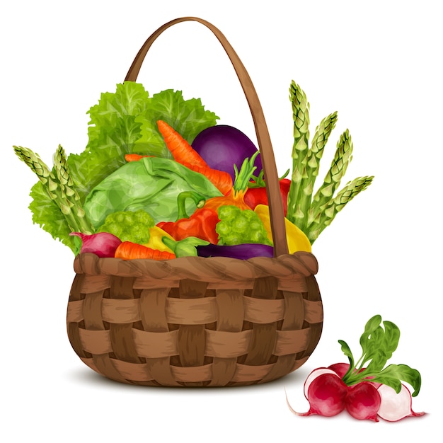Vector vegetables in basket