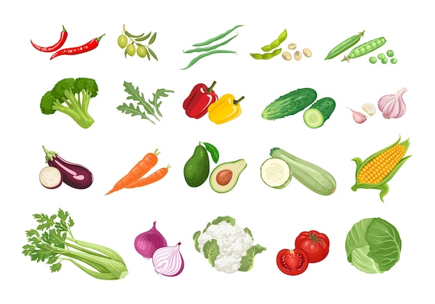 vegetables cartoon icons collection