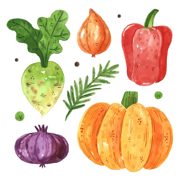 Vegetables clip art, set. pumpkin, greenery, radish, pepper, onion. watercolor illustration. raw fresh healthy food. vegan, vegetarian. harvest. design elements isolated on white background.