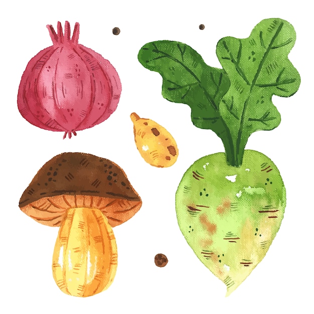 Vegetables clip art, set.