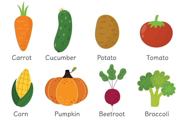 Raccolta di verdure in stile cartone animato set di alimenti sani o poster con verdure e i loro nomi