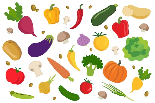 Vegetables. Collection farm product for restaurant menu. Vector