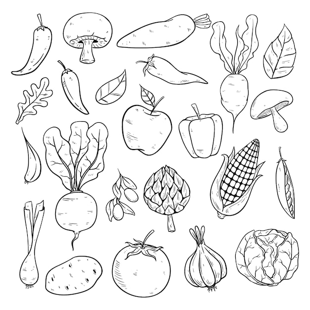 Vegetables collection with sketch or hand drawn style