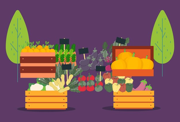 vegetables concept illustration stylish and beautiful