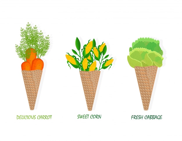 Vegetables in a cone icons template. flat styles