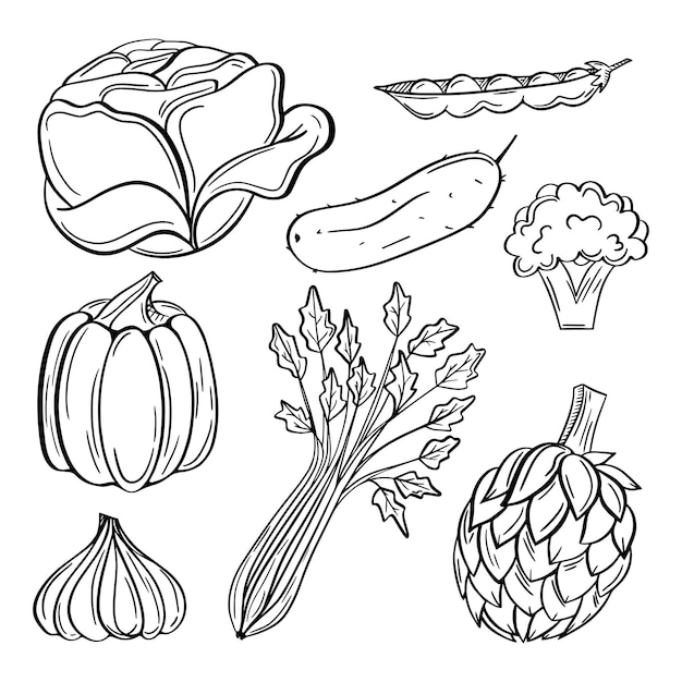 Vegetables doodle drawing collection Hand drawn vector doodle illustrations in black isolated over