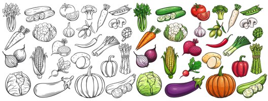 vegetables drawn icons set.
