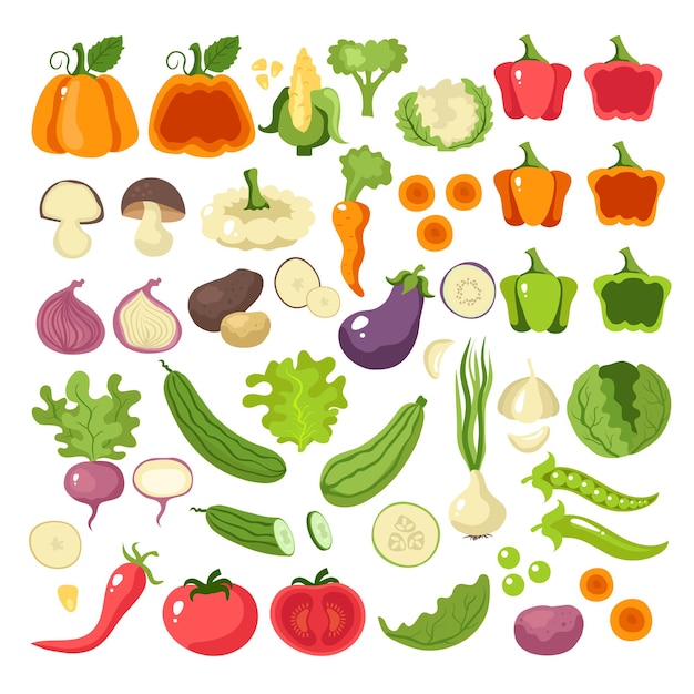 Vegetables food slice icon set collection concept.   cartoon   illustration