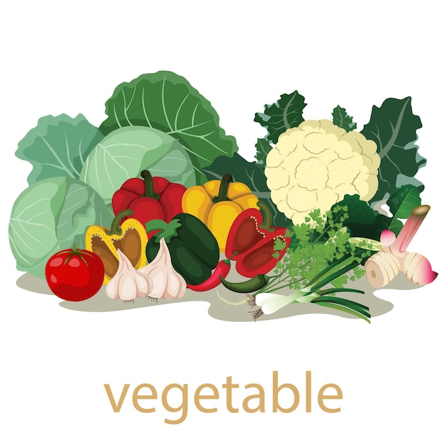 Vegetables fresh isolated