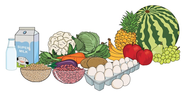 Vector vegetables, fruits, eggs and other eatables